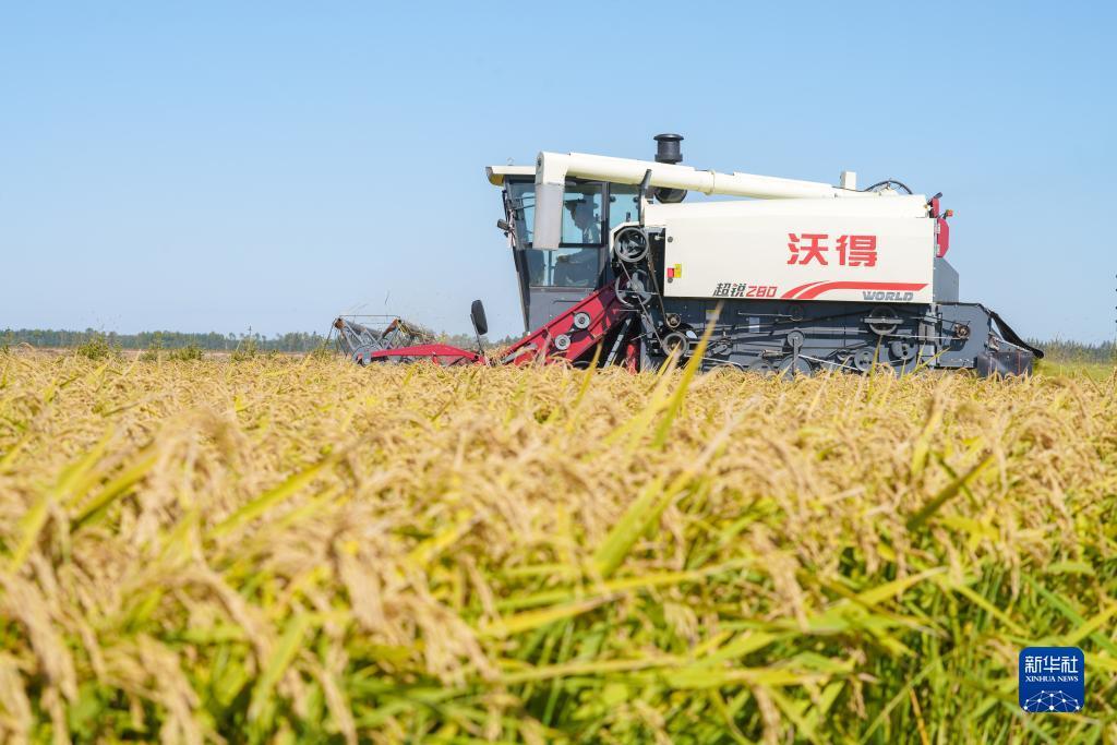 中国游戏中心